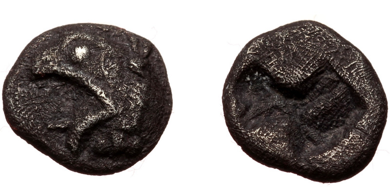 Ionia. Phokaia AR Obol (Silver, 0.67g, 8mm) ca 521-478 BC
Obv: Head of griffin ...