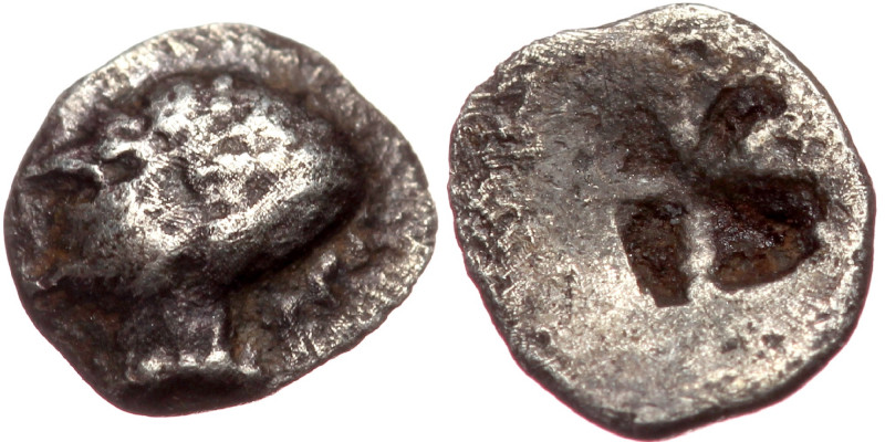 Ionia, Phokaia AR tetartemorion (Silver, 0.13g, 6mm) ca 521-478 BC
Obv: Head of...