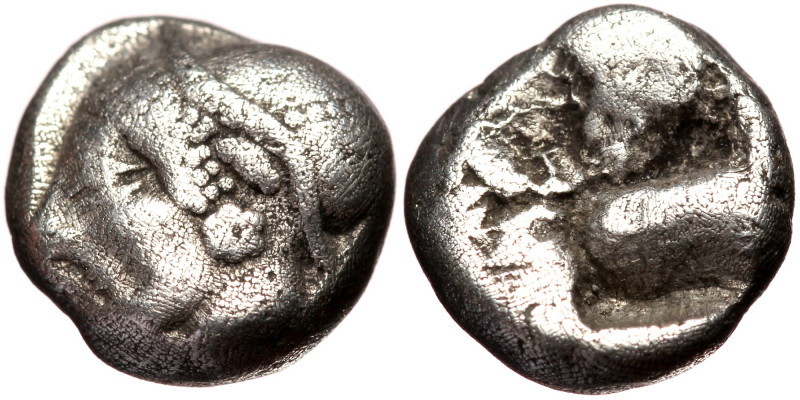 Ionia, Phokaia AR diobol (Silver, 1.26g, 9mm) ca 521-478 BC
Obv: Head of a nymp...