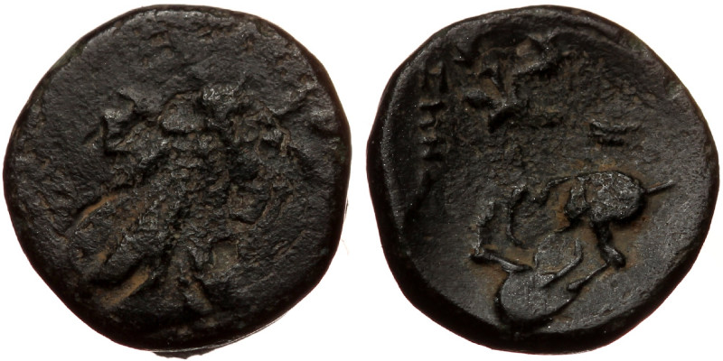 Ionia. Ephesos (ca 390-320 BC) AE (Bronze, 0.73g, 10mm) Uncertain magistrate
Ob...