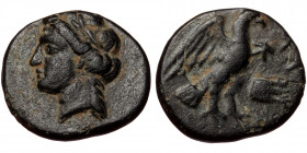 Caria. Halikarnassos AE chalkous (Bronze, 1.40g12mm) ca 400-300 BC.
Obv: Laureate head of Apollo to left 
Rev: Eagle standing right with wings sprea...