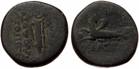 Caria, Trapezopolis, time of Oktawianus Augustus (27 BC-AD 14), AE (Bronze, 15,2 mm, 2,79 g), struck under Apollodotos, son of Lykotes, magistrate. Ob...