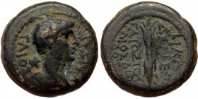 Lydia, Philadelphia, Caligula (37-41), AE (Bronze, 15,1 mm, 3,02 g). Obv: ГAIOC - [KAICAP], bare head of Caligula to rihgt, two stars in fields. 
Rev...
