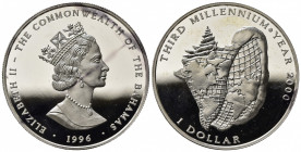 BAHAMAS. Elisabetta II. 1 Dollaro 1996. Proof Ar (38mm, 31.26g). KM 176. FDC