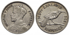 NUOVA ZELANDA. Giorgio V (1910-1936). 6 Pence - 1936 - AG Kr. 2 - BB-SPL