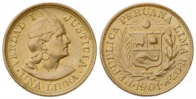 PERU'. Repubblica. 1 Libra 1901. Au (22mm, 7.95g). KM 207; Fr. 73. BB+