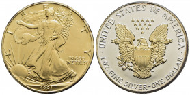 STATI UNITI D'AMERICA. Dollaro - 1991 - American Eagle - AG Kr. 273 Dorata - FDC