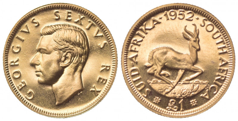 SUD AFRICA. Giorgio VI (1936-1952). 1 Pound 1952. Au (21.5mm, 8.00g). KM 43; Fr....