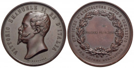 SAVOIA - Vittorio Emanuele II (1849-1861) - Medaglia - Medaglia al merito per lavori statistici - Testa a s. - R/ Epigrafe in corona d'alloro Opus: Fe...