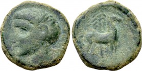 IBERIA. Punic Iberia. Ae Unit (Circa 237-209 BC).