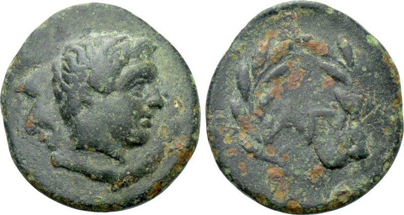 THRACE. Agathopolis. Ae (Mid 3rd century BC). 

Obv: Diademed male head right....