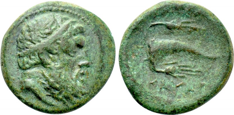 KINGS OF THRACE (Celtic). Kavaros (Circa 230/25-218 BC). Ae. Kabyle. 

Obv: He...