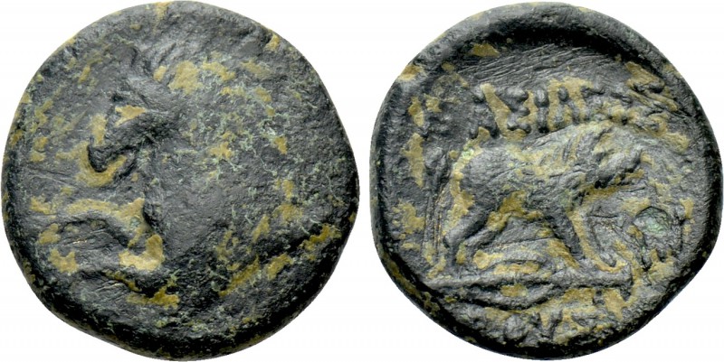 KINGS OF BITHYNIA. Prusias II Kynegos (182-149 BC). Ae. Nikomedeia. 

Obv: For...