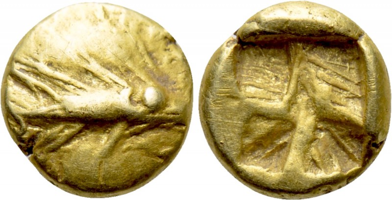 MYSIA. Kyzikos. EL 1/24 Stater (Circa 600-550 BC). 

Obv: Tunny right.
Rev: Q...