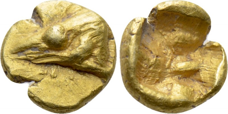 MYSIA. Kyzikos. EL 1/48 Stater (Circa 600-550 BC). 

Obv: Head of tunny left....