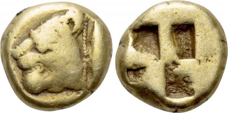 MYSIA. Kyzikos. EL Hekte (Circa 550-450 BC).

Obv: Head of lion left; to right...