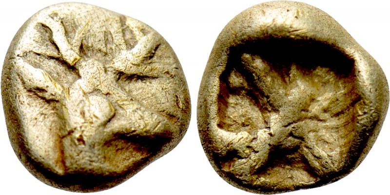 IONIA. Ephesos. Phanes (Circa 625-600 BC). EL 1/48 Stater. 

Obv: Head of stag...