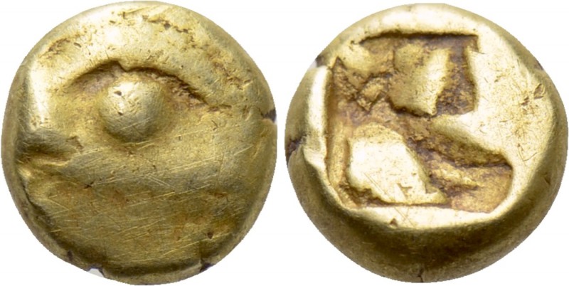 IONIA. Phokaia. EL 1/24 Stater (Circa 625/0-522 BC). 

Obv: Head of seal left....