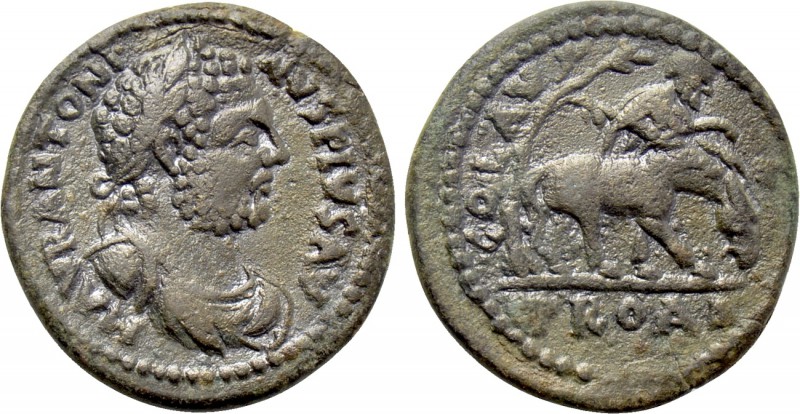 TROAS. Alexandria. Caracalla (198-217). Ae As. 

Obv: M AVR ANTONINVS PIVS AV....