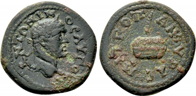 GALATIA. Ancyra. Caracalla (198-217). Ae. 

Obv: ANTΩNINOC AVΓO. 
Laureate he...