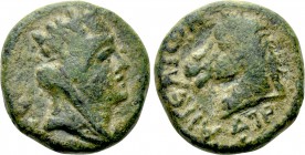 CILICIA. Aegeae. Pseudo-autonomous. Time of Antoninus Pius (138-161). Ae. Dated CY 191 (144/5).