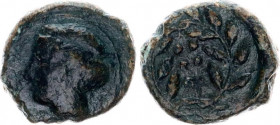 Ancient Greece Hemilitra 420 - 408 BC, Himera (Sicily)
SNG ANS 186, SNG 320, Mini, Sicilia 27; Copper 4,19 gr; Obv: IME. Female head left; six pellet...