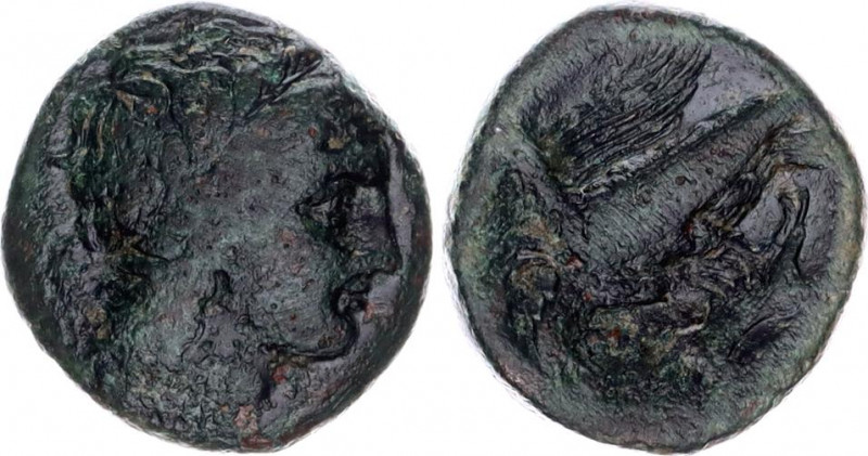 Ancient Greece AE18 279 - 241 BC, Akragas (Sicily)
SNG ANS-1130; Copper 8,15 gr...