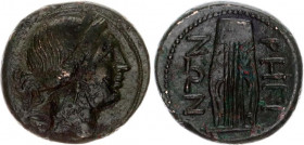 Ancient Greece AE22 260 - 215 BC, Rhegion (Bruttium)
SNG Copenhagen 1963; Copper 8,03 gr; Obv. Head of Artemis right, bow and quiver over shoulder. R...
