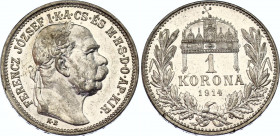 Details about   Austria 1 corona 1894 1914 1915 SILVER 