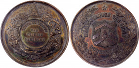 Belgium Mons Bronze Medal "Exhibition of Garden and Agriculture" (ND) NGC UNC
Silvered Bronze; By G.R. Desmet. Borgerhout; NGC UNC det. mount removed