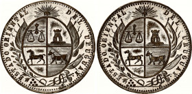 Uruguay State Heraldic Medal 19th-20th Century (ND)
Silverd Brass 12.39 g., 34 mm.; XF+.