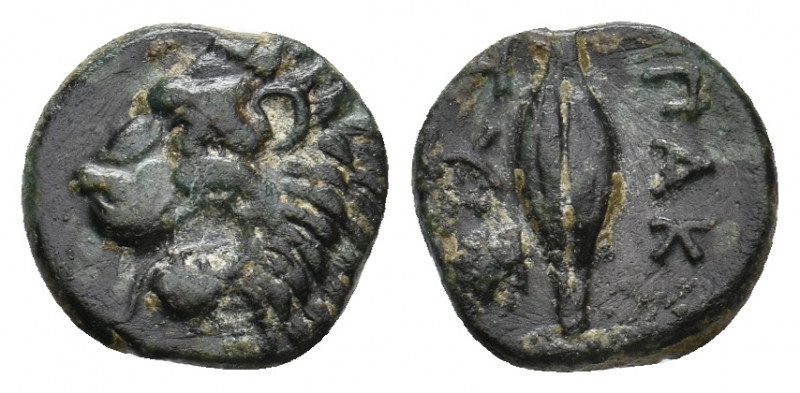 THRACE. Chersonesos. Paktye. (Circa 375-325 BC). Ae. 
Obv: Head of roaring lion ...