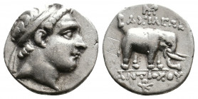 SELEUKID KINGDOM. Antiochos III 'the Great' (222-187 BC). AR Drachm. Uncertain mint, possibly Apameia on the Orontes.
Obv: Diademed head right.
Rev: Β...
