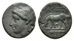 TROAS. Alexandreia (3rd century BC). Ae.
Obv: Laureate head of Apollo left. 
Rev: AΛEΞ
Horse grazing left; monogram below, (thunderbolt) ? in exergue....