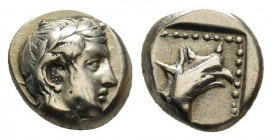 LESBOS. Mytilene. (Circa 430-410 BC). EL Hekte.
Obv: Laureate head of Apollo right 
Rev: Head of griffin to right, with stylised eagle head and reptil...