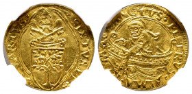 Sisto IV 1471-1484
Fiorino da Camera, Roma, AU 3.36 g.
Ref : MIR 452/1 (R), Berm 448, Fr. 23
NGC MS61. Rare