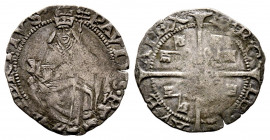 Paolo III 1534-1549
Mezzo Grosso (Pieron da 10 denari), Avignon, AG 1.01 g.
Ref : MIR 902/1 (R2), Munt 85, Berm 974
TTB. Rare