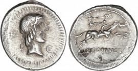 Denario. 90-89 a.C. CALPURNIA. L. Calpurnius Piso Frugi. Anv.: Cabeza laureada de Apolo a derecha, detrás letra N, delante letra G. Rev.: Jinete galop...