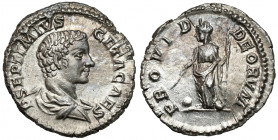 Geta (198-209 AD) AR Denarius, Rome Obverse: P SEPTIMIVS GETA CAES Bare-headed and draped bust to right. Reverse: PROVID DEORVM&nbsp; Providentia stan...
