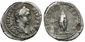 Caracalla (198-217 AD) Denarius Subearat Obverse: ANTONINVS PIVS AVG Laureate and draped bust right.
 Reverse: VOTA SVSCEPTA X Caracalla, standing le...