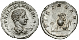 Alexander Sever (222-235 AD) AR Denarius, Rome Obverse: M AVR ALEXANDER CAES Draped and cuirassed bust right.&nbsp; Reverse: PIETAS AVG Simpulum, spri...