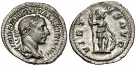 Alexander Sever (222-235 AD) AR Denarius, Rome Obverse: IMP C M AVR SEV ALEXAND AVG Laureate, draped and cuirassed bust to right.
 Reverse: VIRTVS AV...