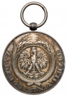Medal za Długoletnią Służbę - Srebrny (XX) Srebro, brak wstążki. Średnica 35 mm.