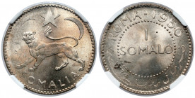 Somalia, 1 somalo 1950 (AH1369) 
Grade: NGC MS64 

WORLD COINS - AFRICA SOMALIA