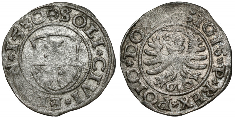 Zygmunt I Stary, Szeląg Elbląg 1530 - pierwszy Pierwszy rocznik elbląskich szelą...