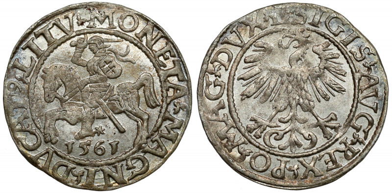 Zygmunt II August, Półgrosz Wilno 1561 - piękny Piękny, menniczy. 
 Odmiana leg...