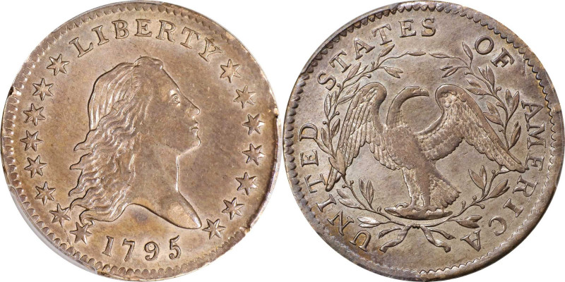 1795 Flowing Hair Half Dollar. O-115, T-10. Rarity-4+. Two Leaves. AU-55 (PCGS)....