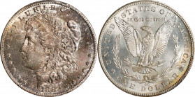 1882-CC Morgan Silver Dollar. MS-64 (PCGS). CAC. OGH--First Generation.
PCGS# 7134. NGC ID: 254B.