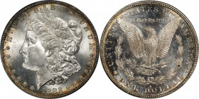 1882-S Morgan Silver Dollar. MS-66 (NGC).
PCGS# 7140. NGC ID: 254F.