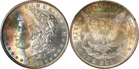 1883-CC GSA Morgan Silver Dollar. MS-63 * (NGC).
The original box and card are not included.
PCGS# 518869. NGC ID: 254H.